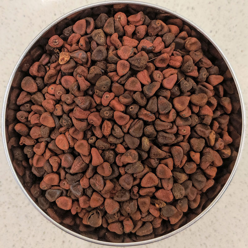 annatto_20190611_115914.jpg